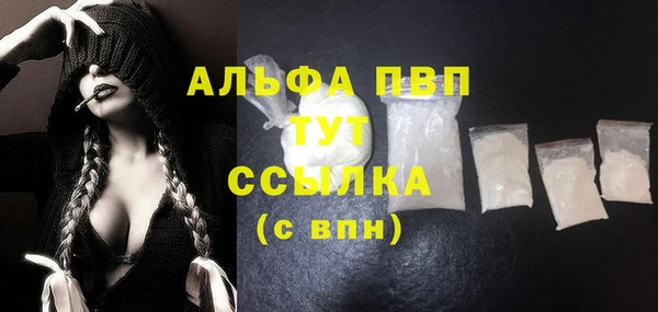a pvp Коряжма