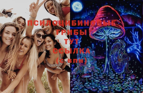 a pvp Коряжма