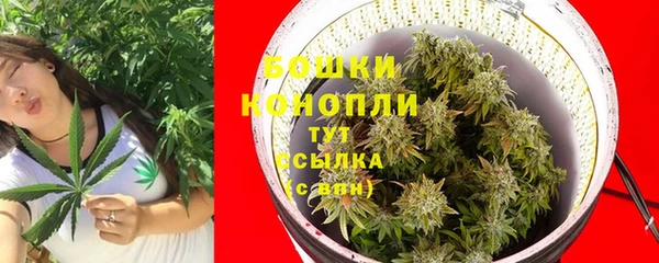 a pvp Коряжма