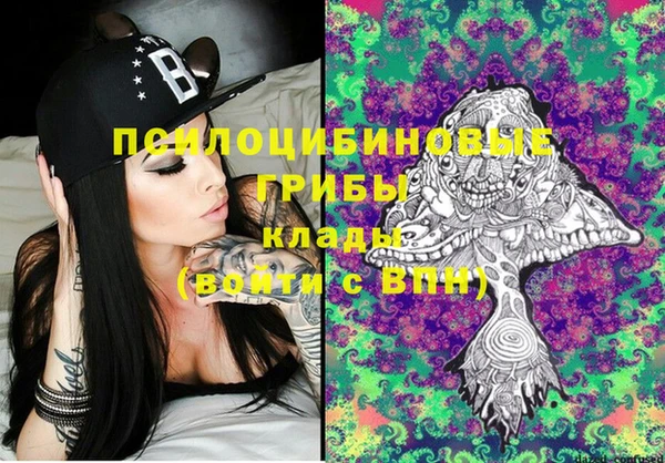 Альфа ПВП Карабаново