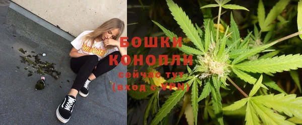a pvp Коряжма