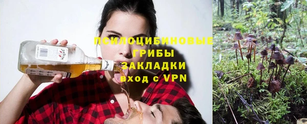 a pvp Коряжма